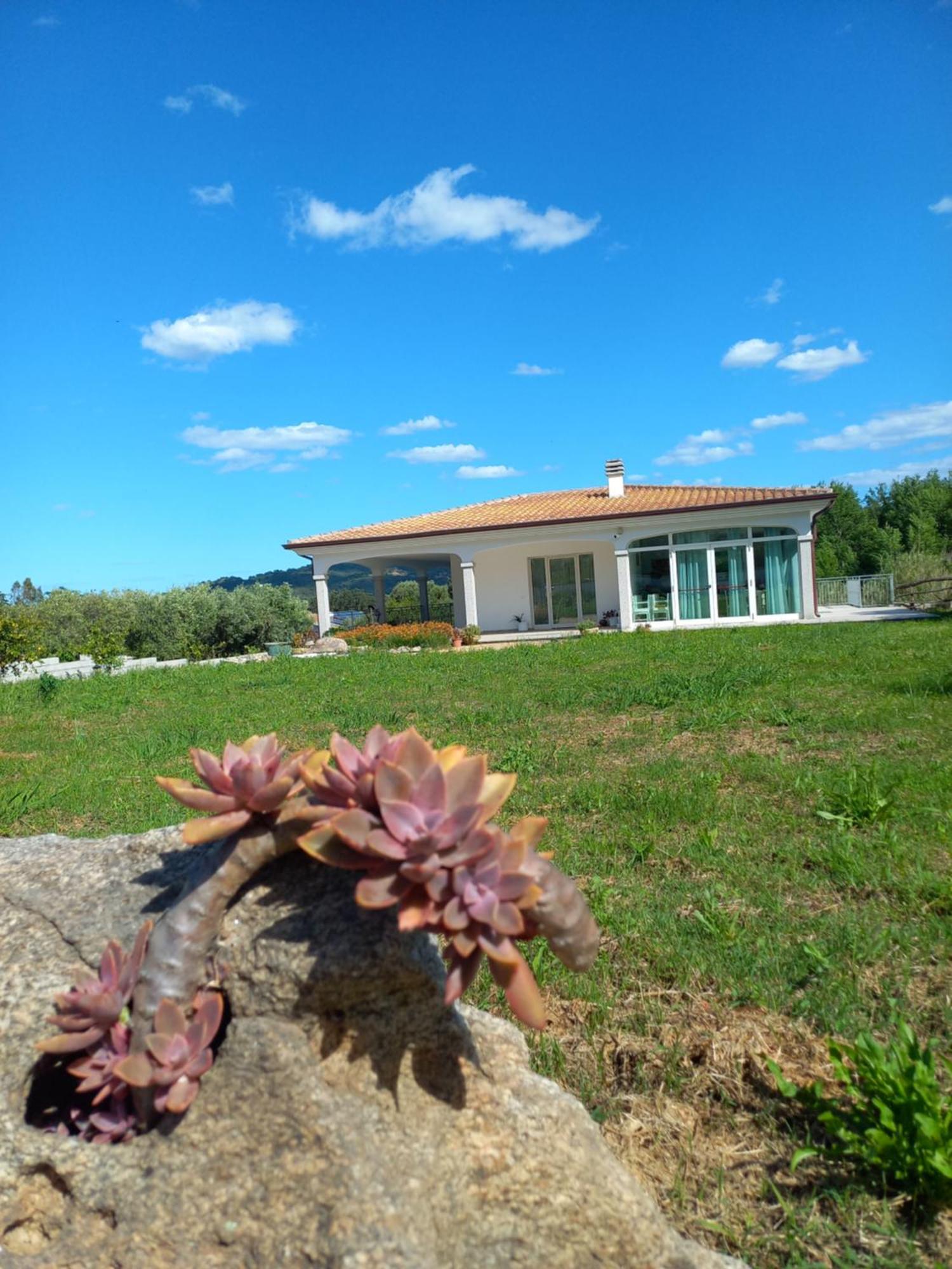 Agriturismo B&B Mares E Montes De Marrante Siniscola Buitenkant foto
