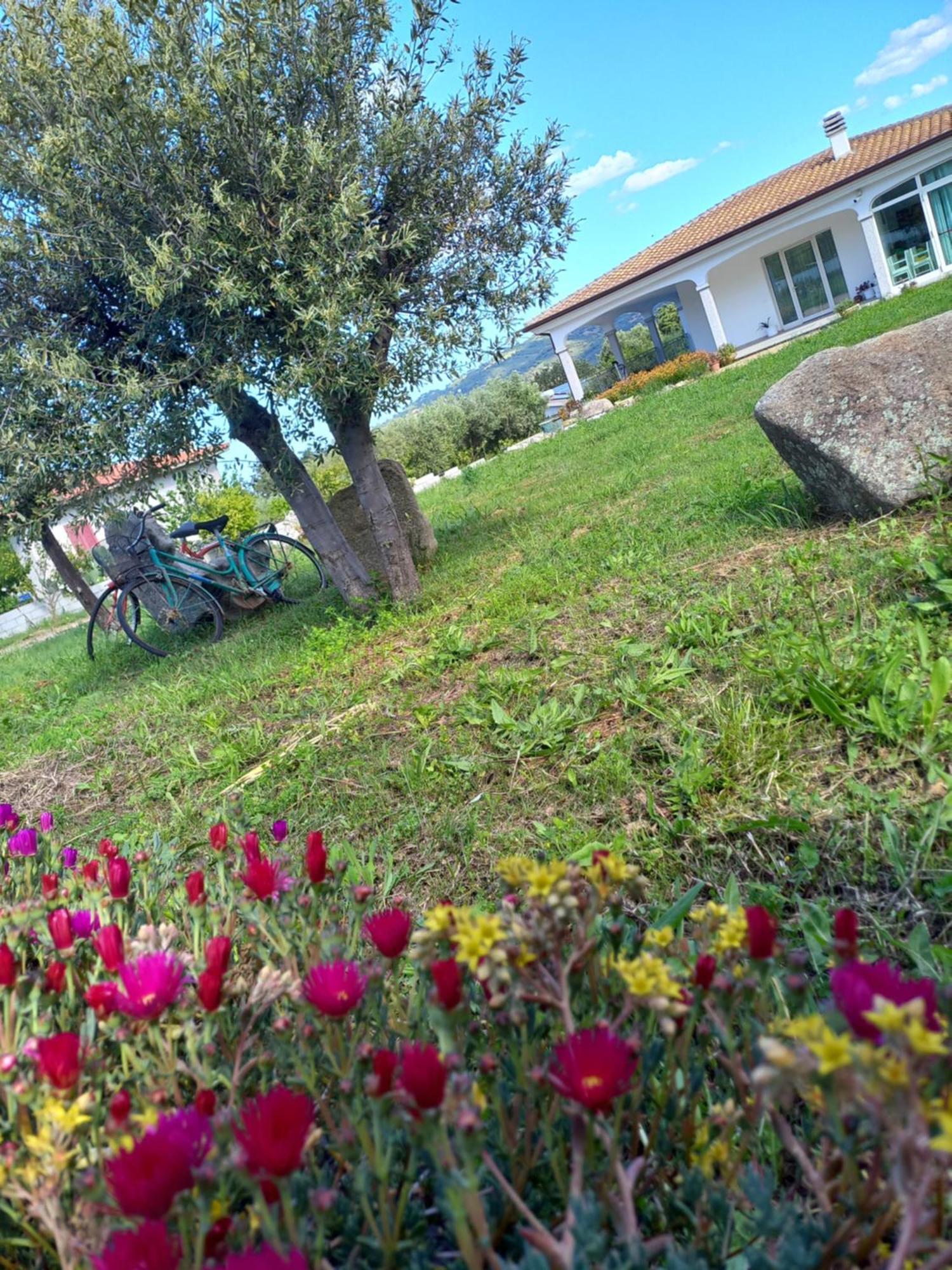 Agriturismo B&B Mares E Montes De Marrante Siniscola Buitenkant foto